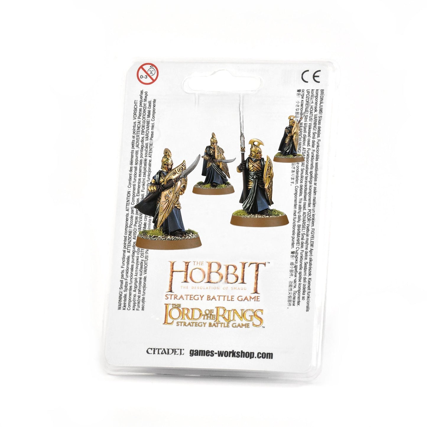 High Elf Warriors