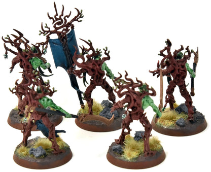 SYLVANETH 5 Tree Revenants #1 Sigmar WELL PAINTED