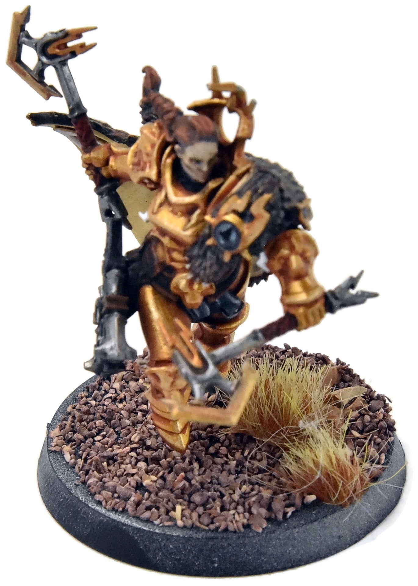 STORMCAST ETERNALS Neave Blacktalon #1 WELL PAINTED Sigmar