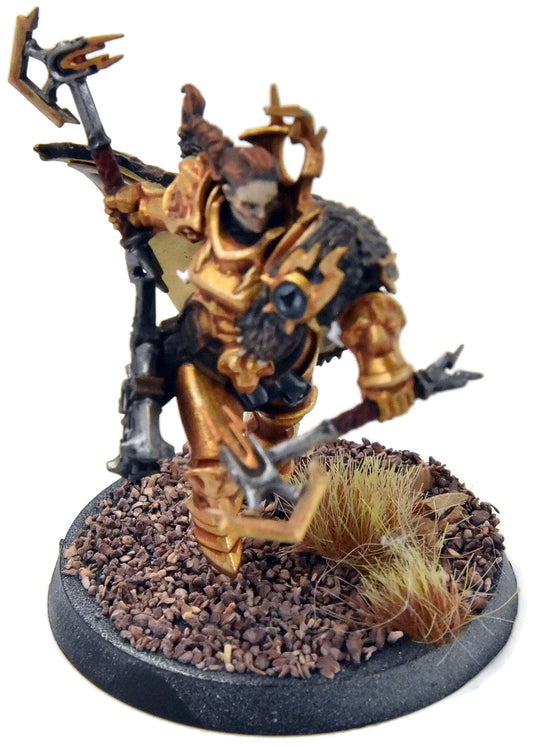 STORMCAST ETERNALS Neave Blacktalon #1 WELL PAINTED Sigmar