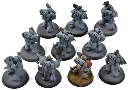 SPACE WOLVES 10 Grey Hunters #1 Warhammer 40K 3055