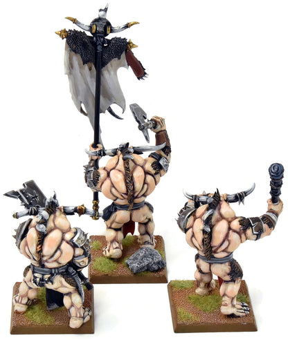 BEASTMEN 3 Minotaur Herd #1 PRO PAINTED Fantasy Minotaurs