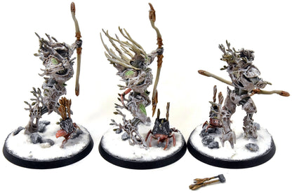 SYLVANETH 3 Kurnoth Hunters #3 WELL PAINTED Sigmar