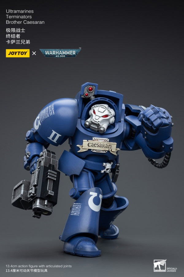 Terminators Brother Caesaran Ultramarines Joy Toy