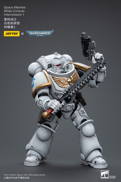 White Consuls Intercessors 1 Space Marines Joy Toy
