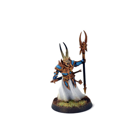 DISCIPLES OF TZEENTCH Chaos Sorcerer Lord WELL PAINTED Sigmar #1