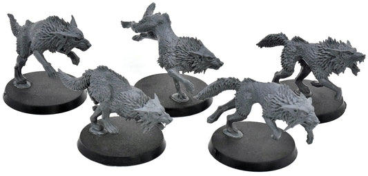 SPACE WOLVES 5 Fenrisian Wolves #6 Warhammer 40K