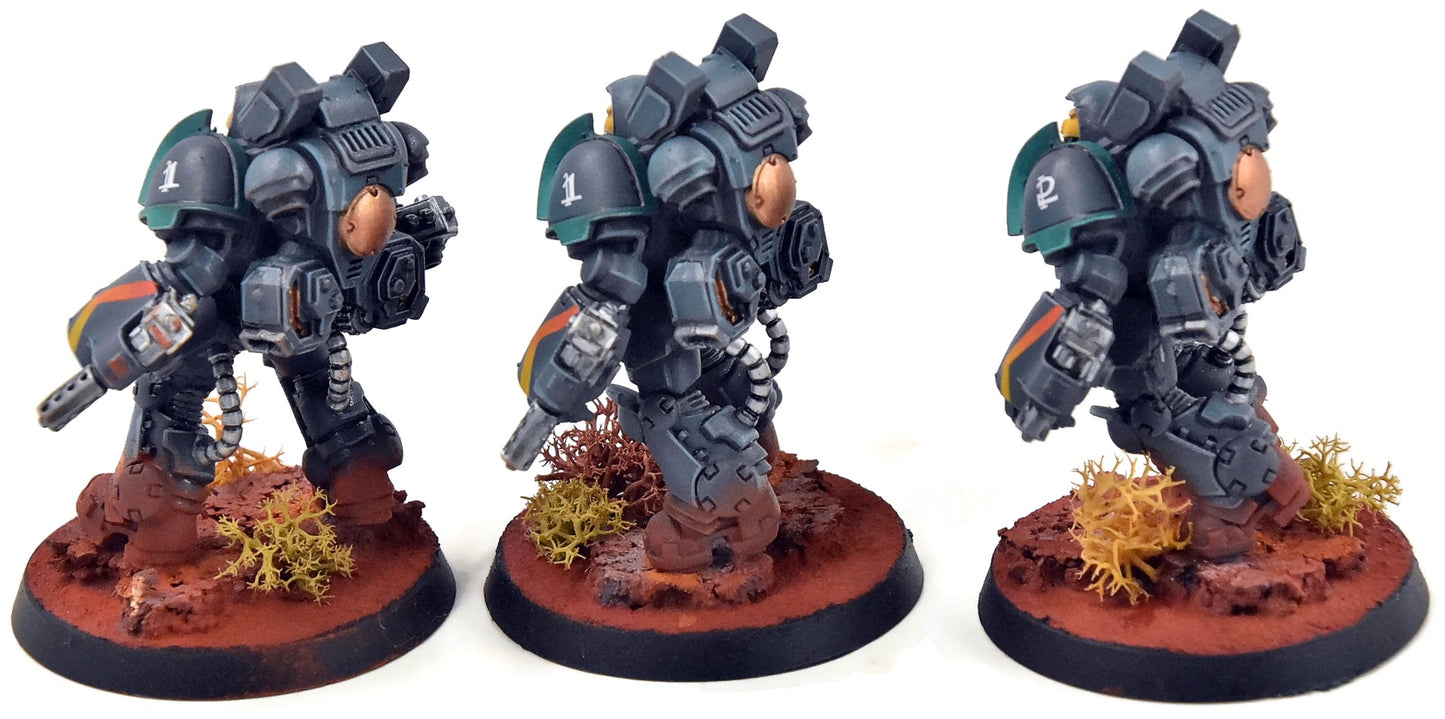SPACE MARINES 3 Aggressors #3 PRO PAINTED Warhammer 40K