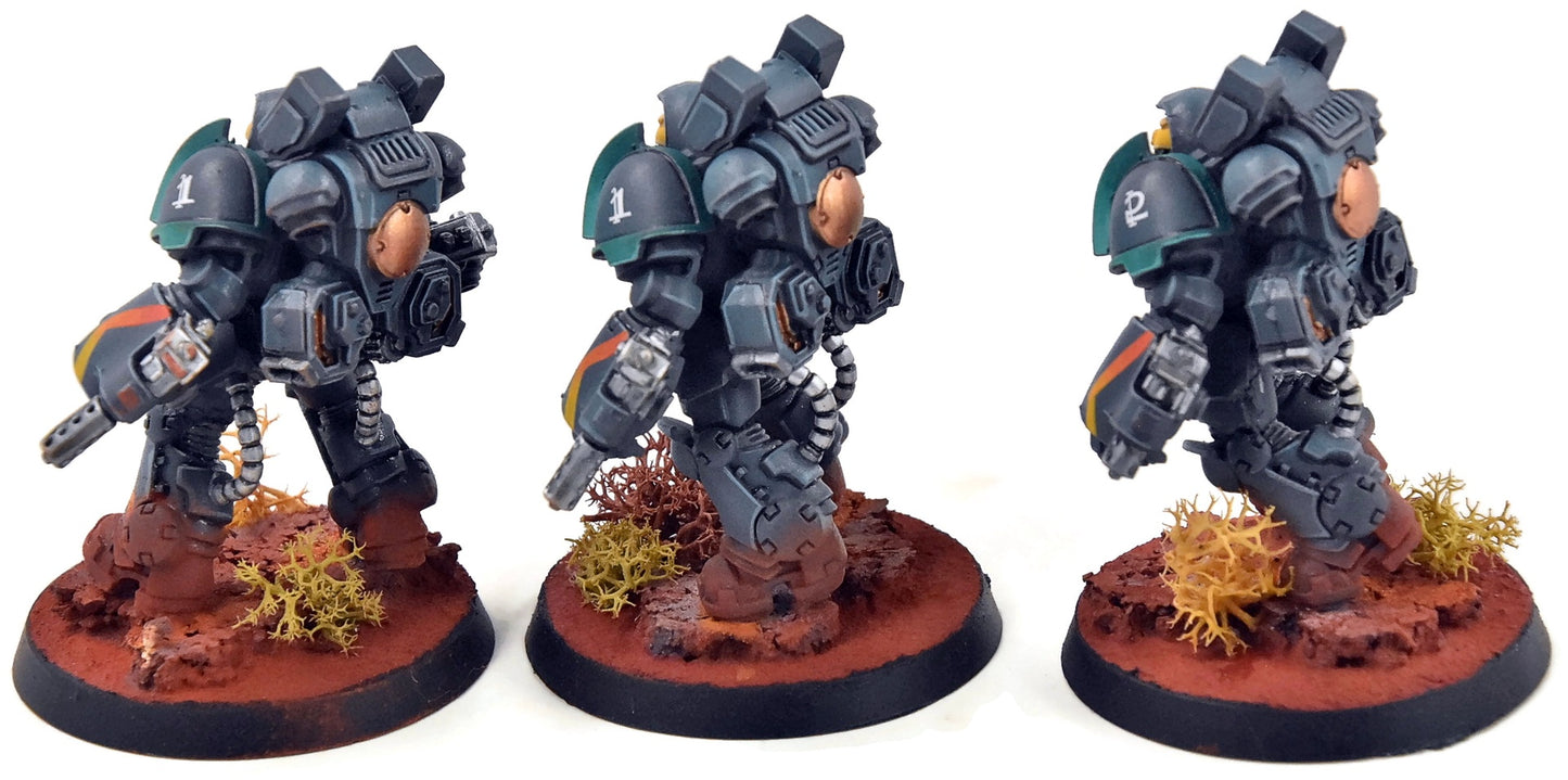 SPACE MARINES 3 Aggressors #3 PRO PAINTED Warhammer 40K