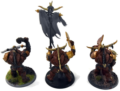 BEASTS OF CHAOS 3 Bullgors #2 Sigmar