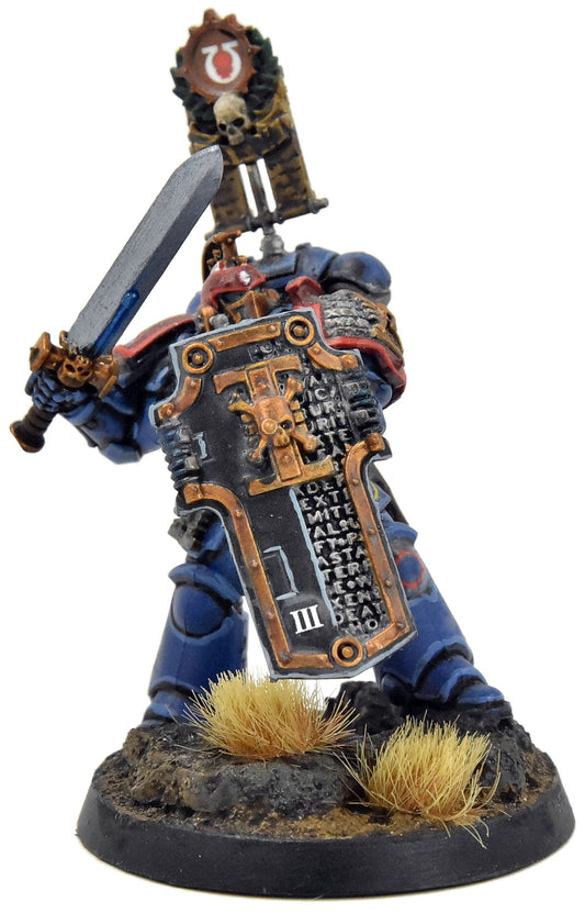 SPACE MARINES Bladeguard Ancient #1 WELL PAINTED Captain converted 40K