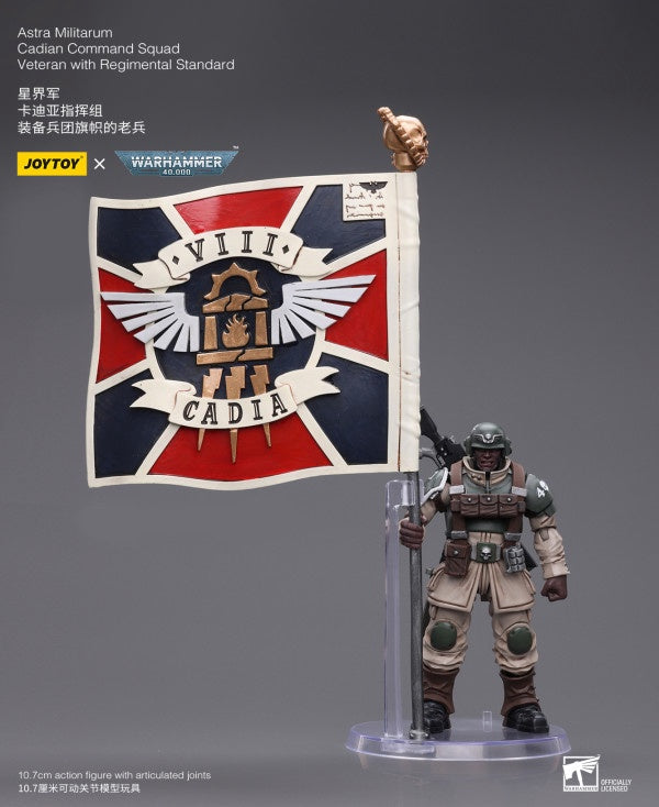 Cadian Command Squad Veteran with Regimental Standard Astra Militarum Joy Toy