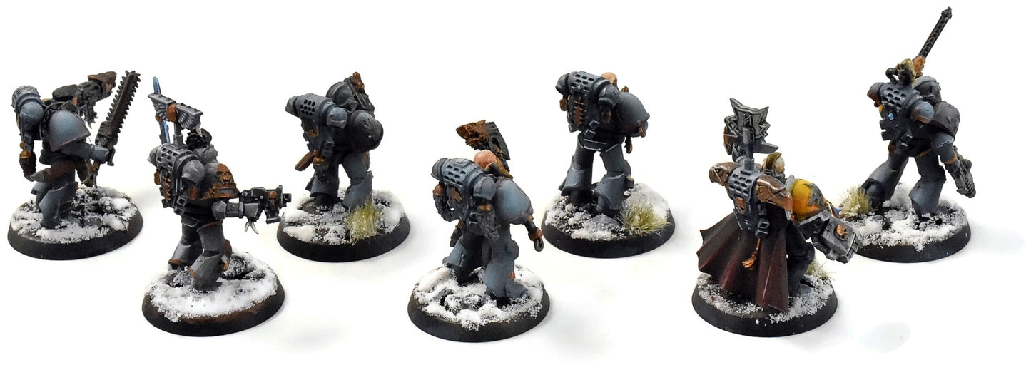 SPACE WOLVES 7 Grey Hunters #1 PRO PAINTED Warhammer 40K