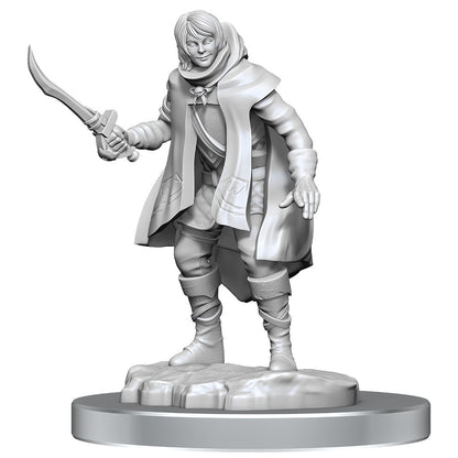 D&D Unpainted Minis Wv19 Elf Rogue/half- Elf Rogue