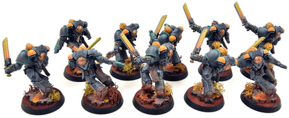 SPACE MARINES 10 Assault Intercessors Squad #2 PRO PAINTED Warhammer 40K