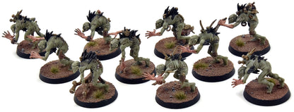 FLESH-EATER COURTS 10 Crypt Ghouls #2 WELL PAINTED Sigmar