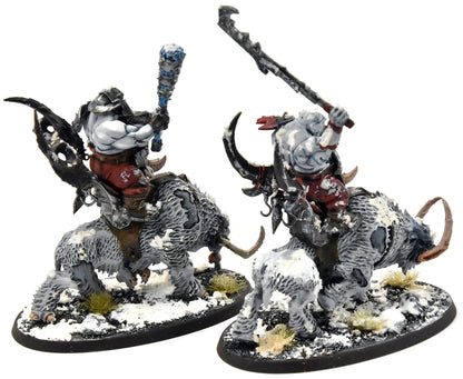 OGRE KINGDOMS Mournfang Cavalry Pack #1 PRO PAINTED Sigmar