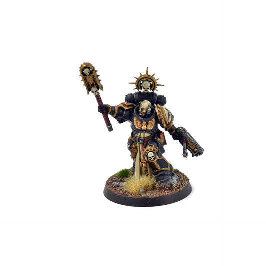 BLOOD ANGELS Primaris Chaplain Indomitus #1 WELL PAINTED Warhammer 40K