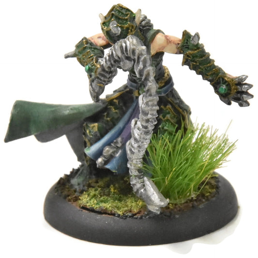 HORDES Paingiver Bloodrunner Master Tormentor #3 WELL PAINTED METAL skorne