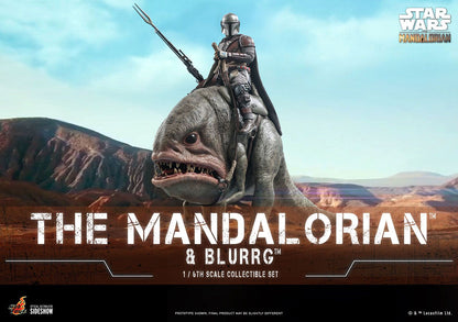 Mandalorian™ & Blurrg™ Sixth Scale Figure Set by Hot Toys Television Masterpiece Series - Star Wars: The Mandalorian™