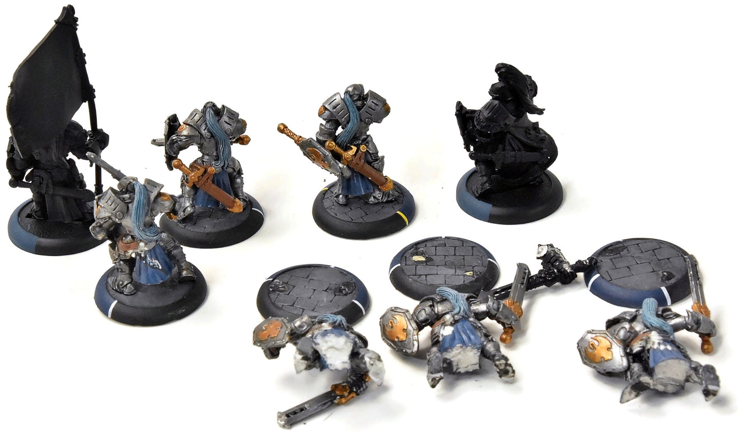 WARMACHINE Sword Knights #1 METAL CYGNAR