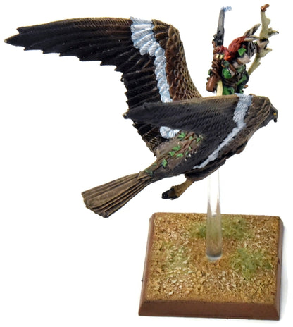 WOOD ELVES Warhawk Rider #6 PRO PAINTED METAL Fantasy