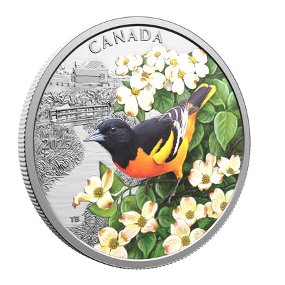 Colourful Birds: Baltimore Oriole – $20 1 oz. Fine Silver Coin