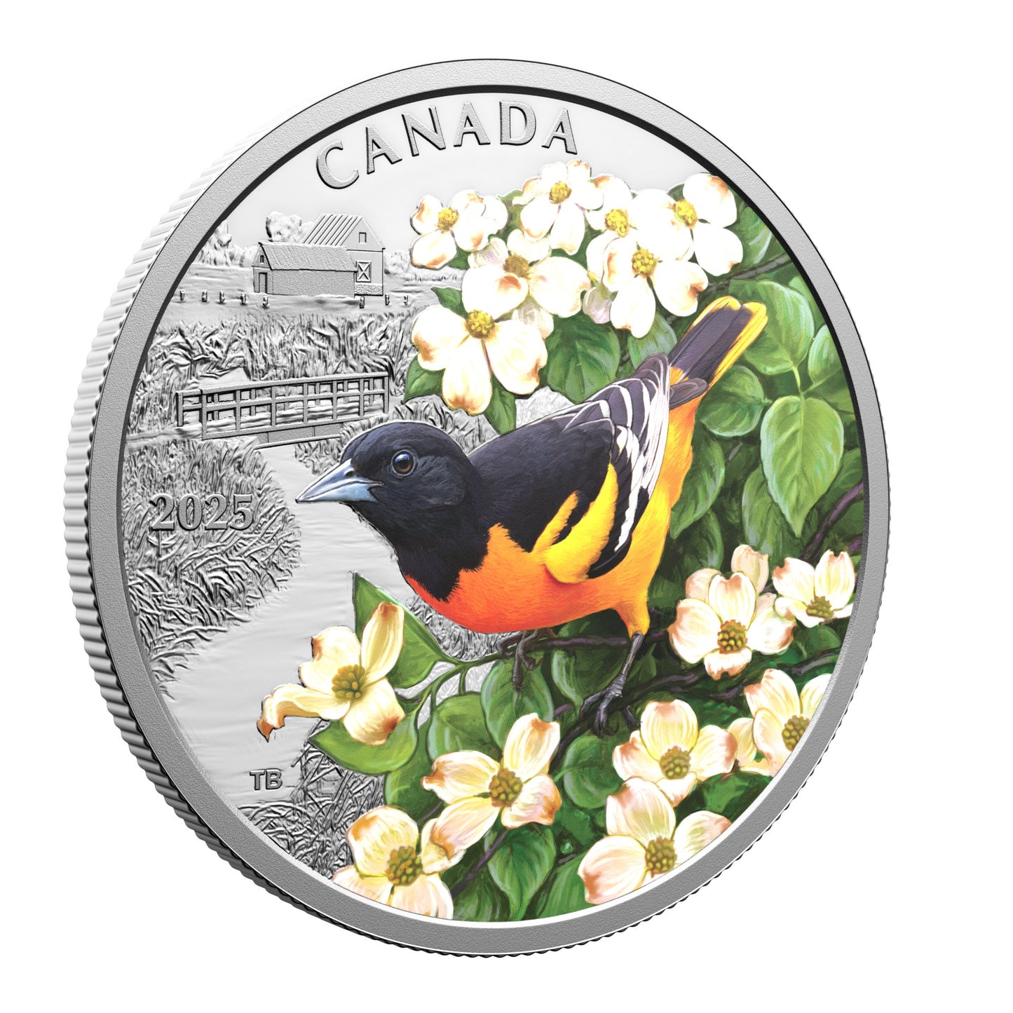 Colourful Birds: Baltimore Oriole – $20 1 oz. Fine Silver Coin (250190)