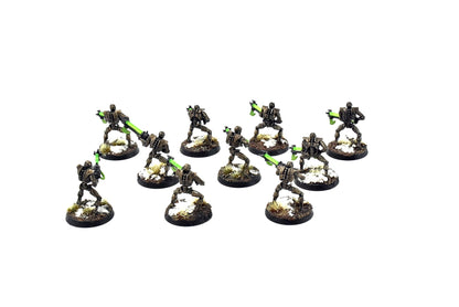 NECRONS 10 NECRON Warriors #5 WELL PAINTED Warhammer 40k