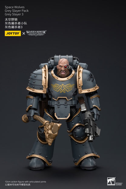 Grey Slayer Pack Grey Slayer3 Space Wolves Joy Toy