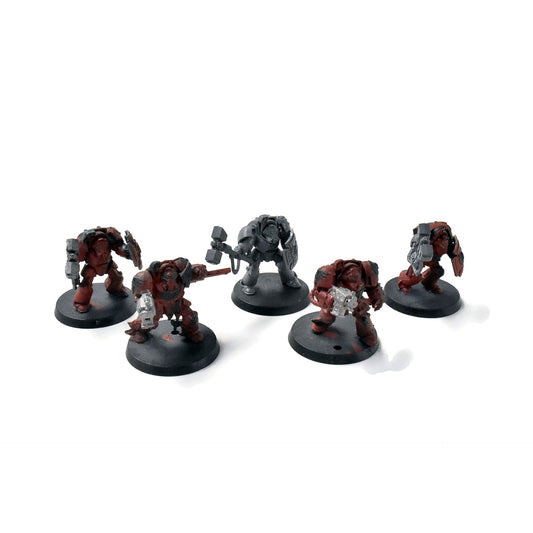SPACE MARINES 5 Terminators #3 Warhammer 40K