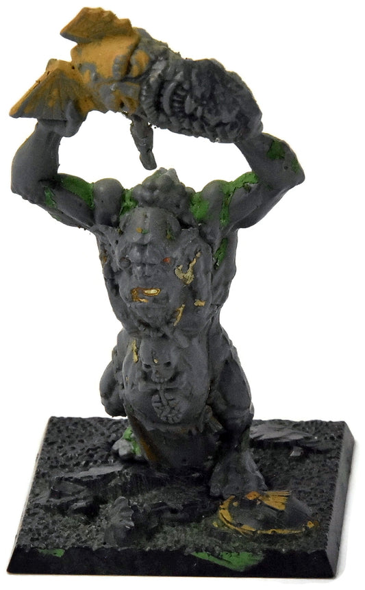 ORCS AND GOBLINS Troll #1 Warhammer Fantasy Skull pass Cleaned