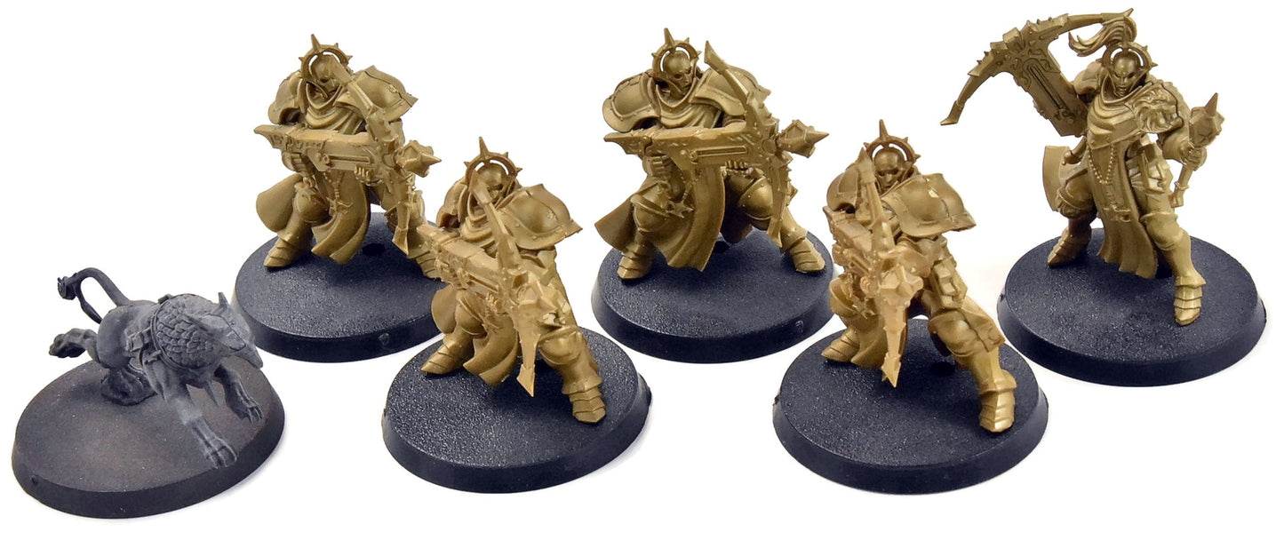 STORMCAST ETERNALS 5 Castigators with Gryph-Hounds #2 Sigmar