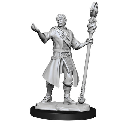 D&D Unpainted Minis Wv14 Half-elf Wizard Male