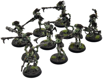 TAU EMPIRE 10 Kroot Carnivores #1 PRO PAINTED Warhammer 40K