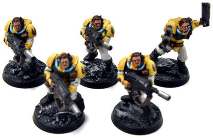 SPACE MARINES Imperial Fists 5 Scout Marines #2 WELL PAINTED Warhammer 40K