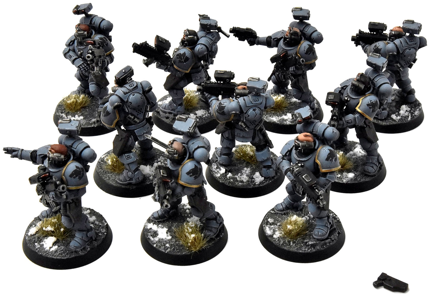 SPACE WOLVES 10 Incursors #1 PRO PAINTED Warhammer 40K