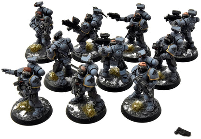 SPACE WOLVES 10 Incursors #1 PRO PAINTED Warhammer 40K