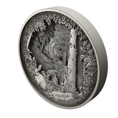 Predator or Prey in Shadow Box – Fine Silver Coin (247976)