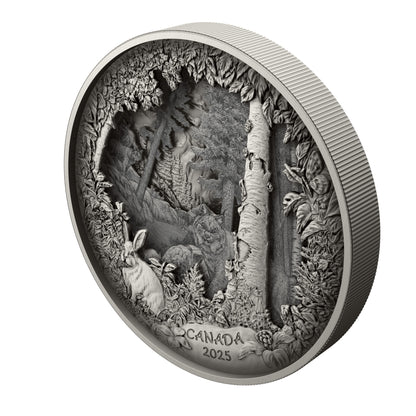 Predator or Prey in Shadow Box – Fine Silver Coin (247976)