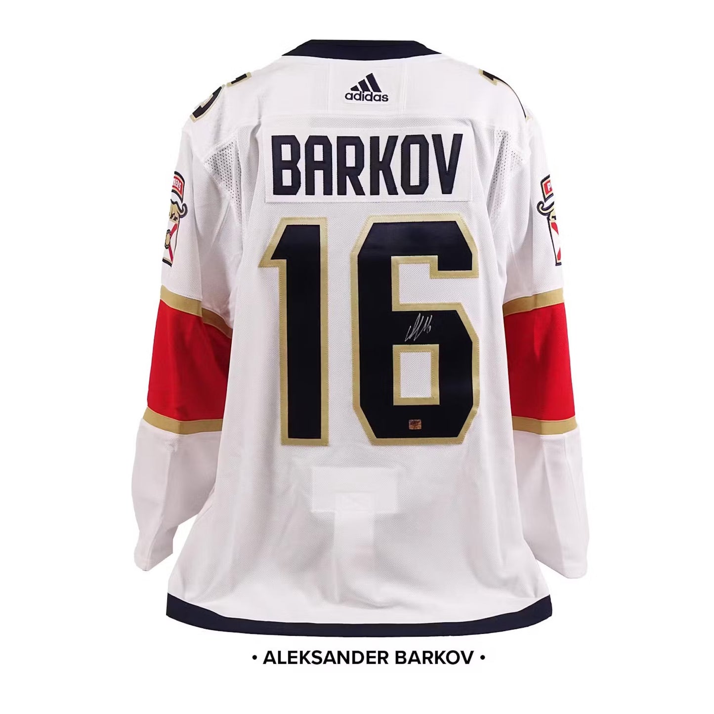 23/24 Hit Parade Autographed Hockey Jersey OFFICIALLY LICENSED Series 3