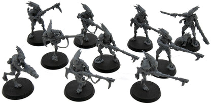 TAU EMPIRE 10 Kroot Carnivores #8 Warhammer 40K