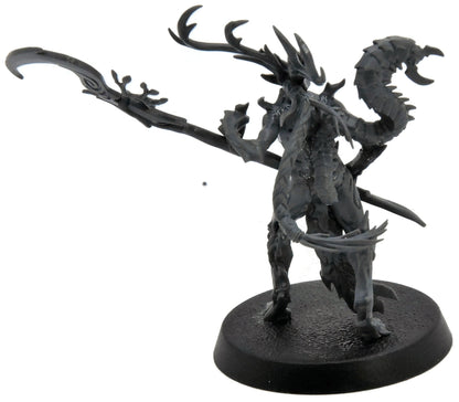 SYLVANETH Branchwych #1 Warhammer Sigmar 9810