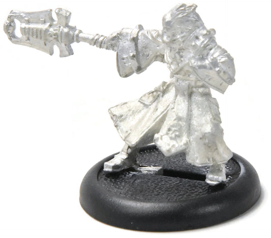 WARMACHINE Hermit #1 METAL mercenaries WELL PAINTED