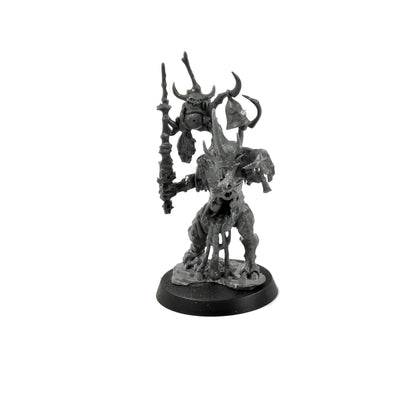 CHAOS DAEMONS Herald of Nurgle #1 Warhammer 40K