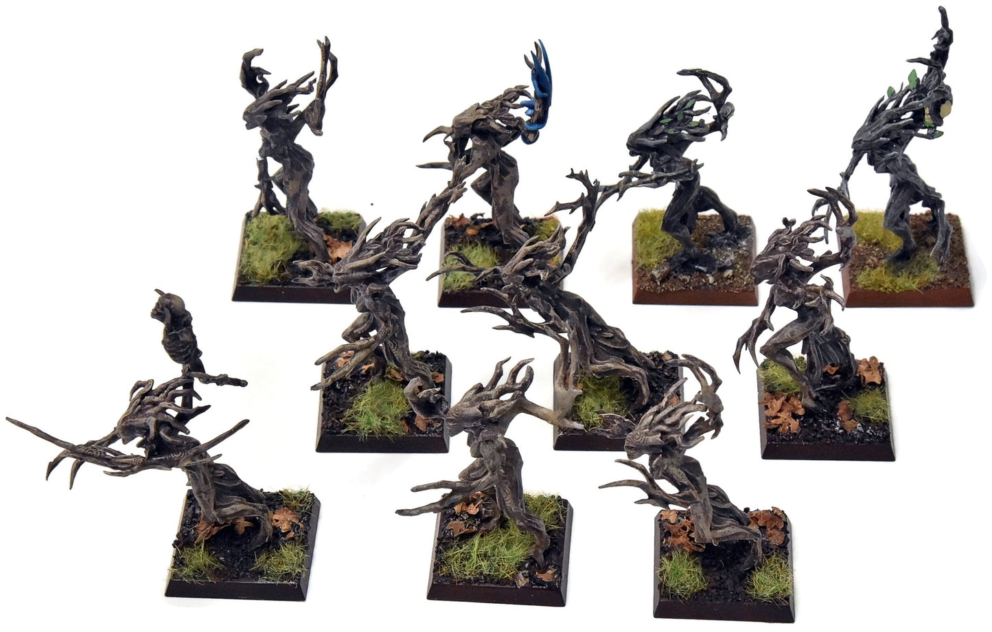 WOOD ELVES 10 Dryads #2 PRO PAINTED Warhammer Fantasy