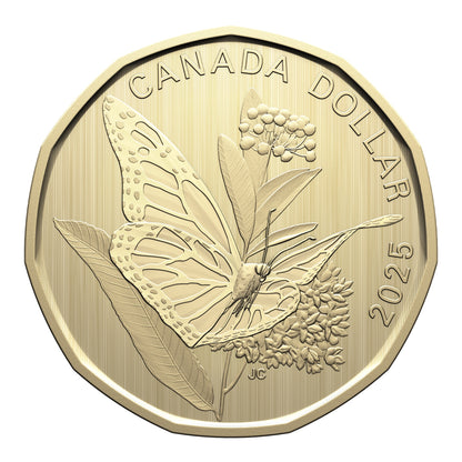 Specimen Set – Monarch Butterfly (2025)