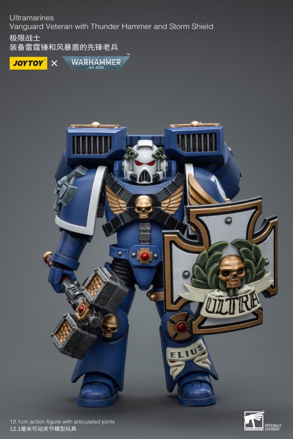 Vanguard Veteran with Thunder Hammer and Storm Shield Ultramarines Joy Toy