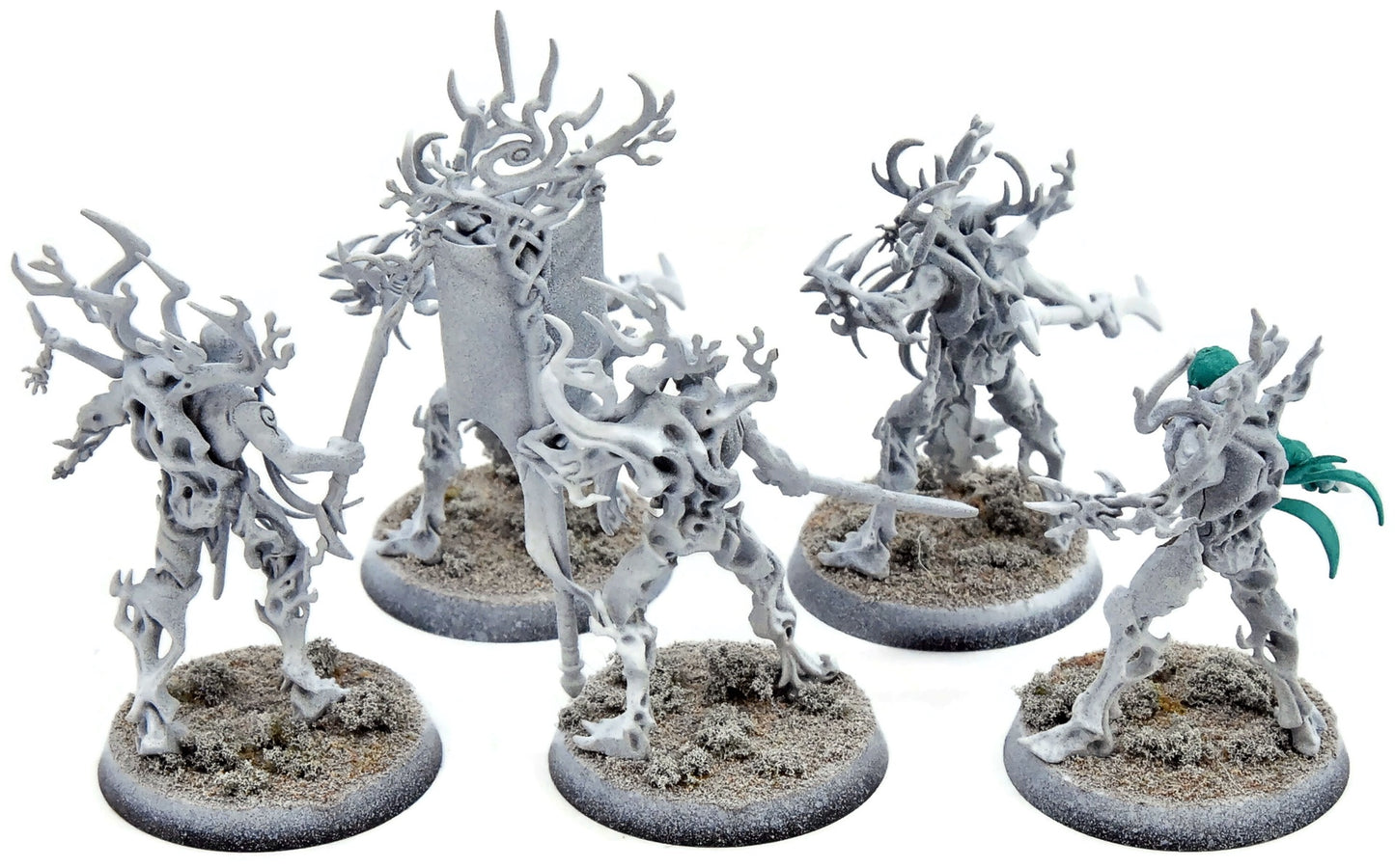 SYLVANETH 5 Tree Revenants #2 Warhammer Sigmar 1479