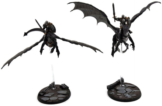 STORMCAST ETERNALS 2 Stromdrake Guard #2 WELL PAINTED Warhammer Sigmar